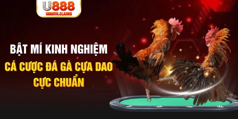bay789 casino hồ tràm có cho người việt vào không