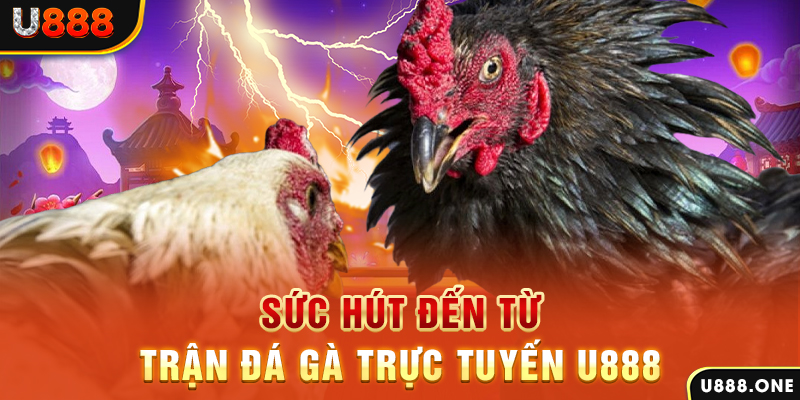bay789 đăng nhập poker 2024