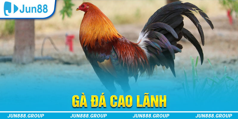 bay789 tai game vua bai ve may tinh