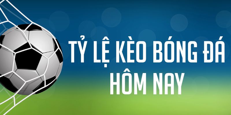 bay789 đăng nhập phỏm