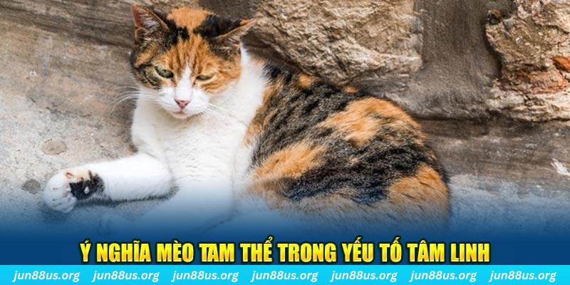 máy slot game là loại trò chơi gì？
