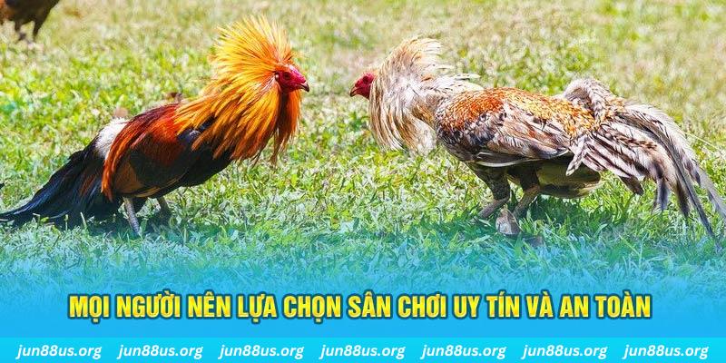 bay789 đăng nhập poker 2025
