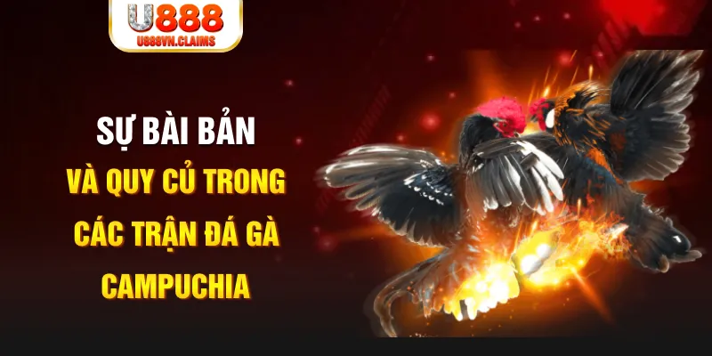 game xếp bài trên máy tính