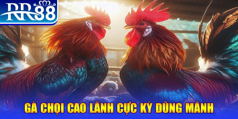 bay789 đăng nhập poker live